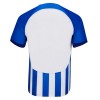 Conjunto (Camiseta+Pantalón Corto) Brighton Hove Albion Primera Equipación 23-24 - Niño